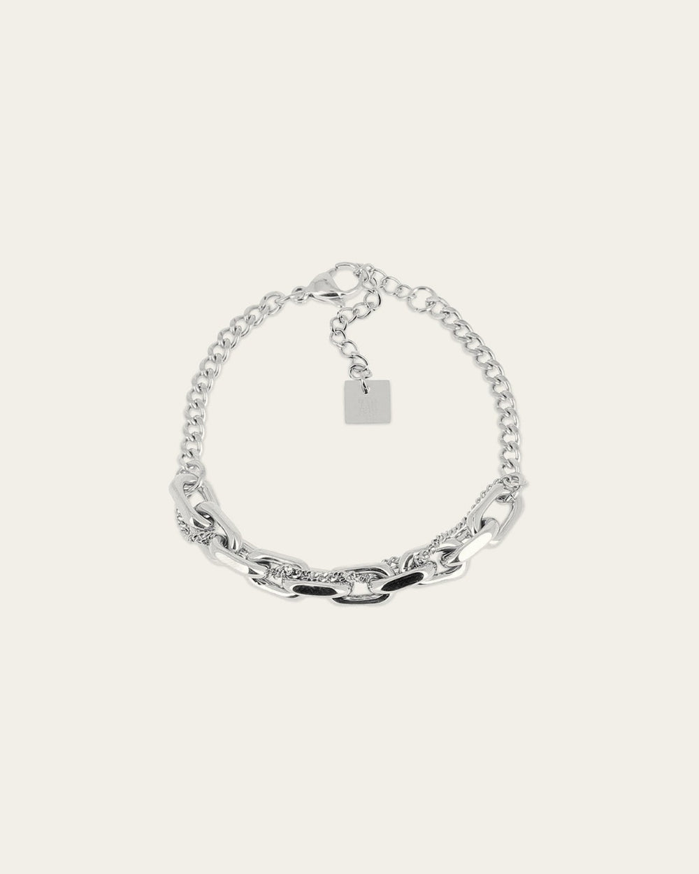 Danae Bracelet (Steel)
