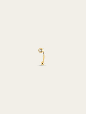 Piercing Kangaroo