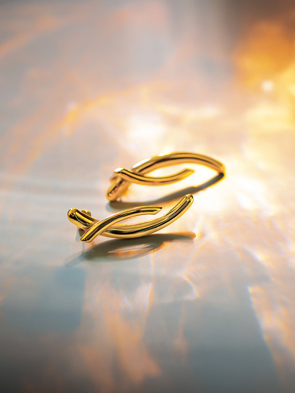 Boucles d'oreilles Apion