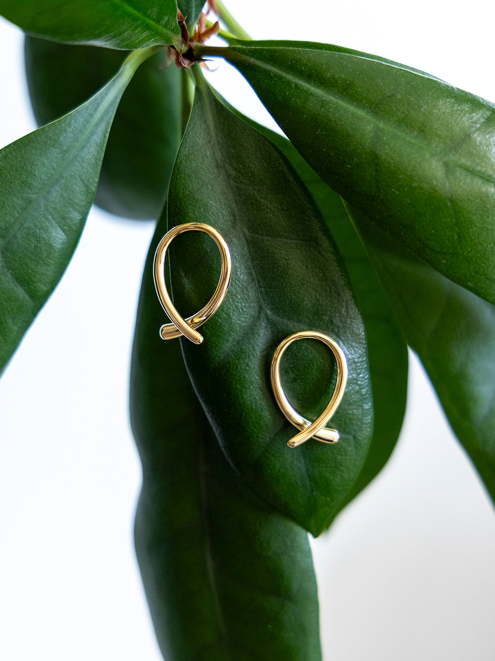 Boucles d'oreilles Coquette