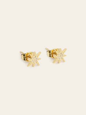 Boucles d'oreilles puces Isaac