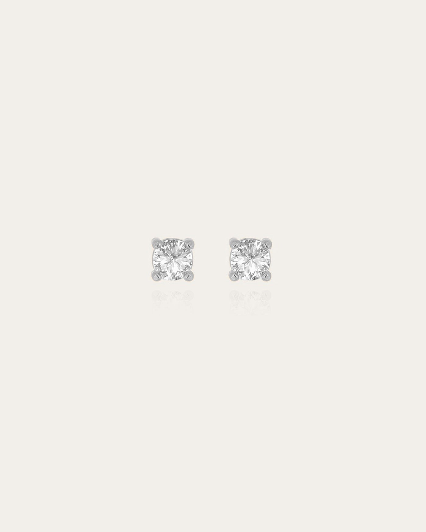 Murcia Earrings (Steel)