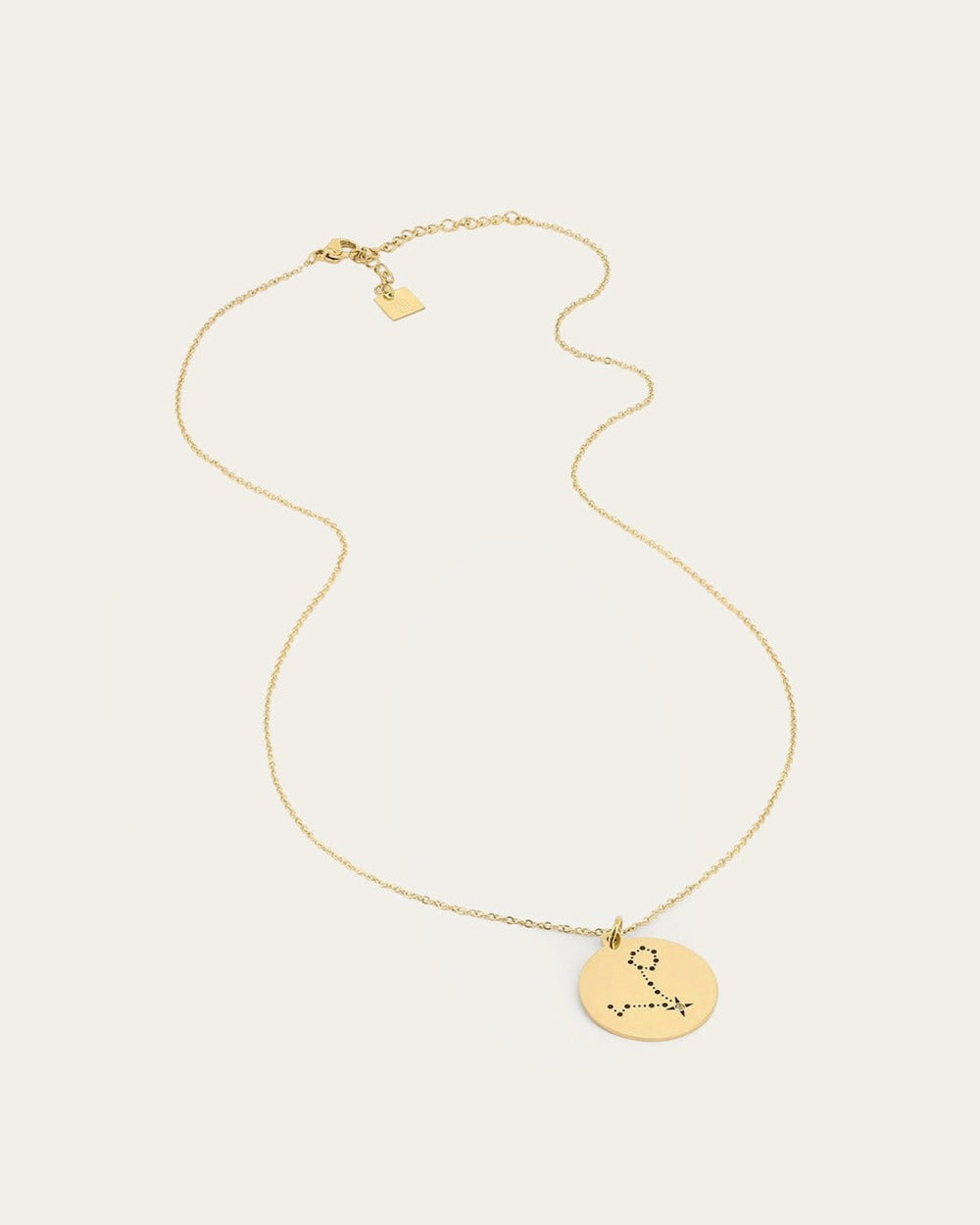 Pisces Necklace (Gold-plated steel)