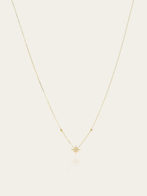 Collier Newton