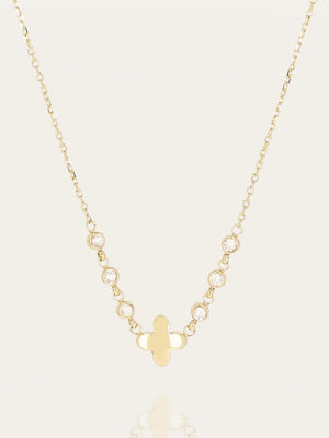 Shanks Necklace