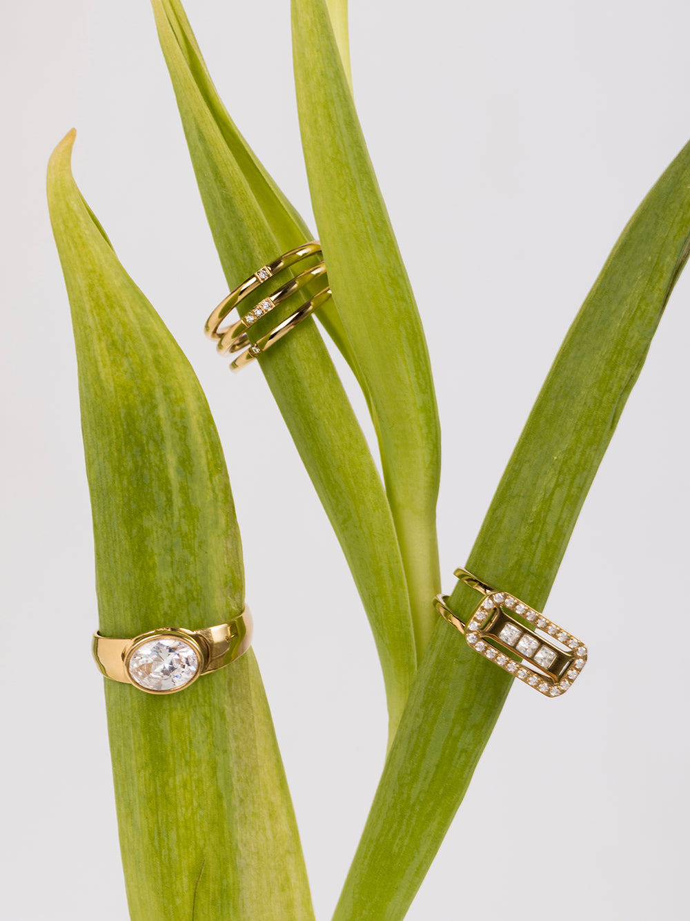 Lucci Ring