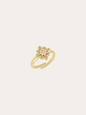 Acilia Ring
