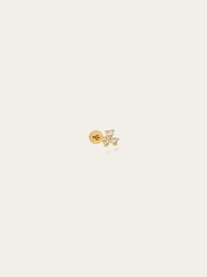 Piercing Madagascar