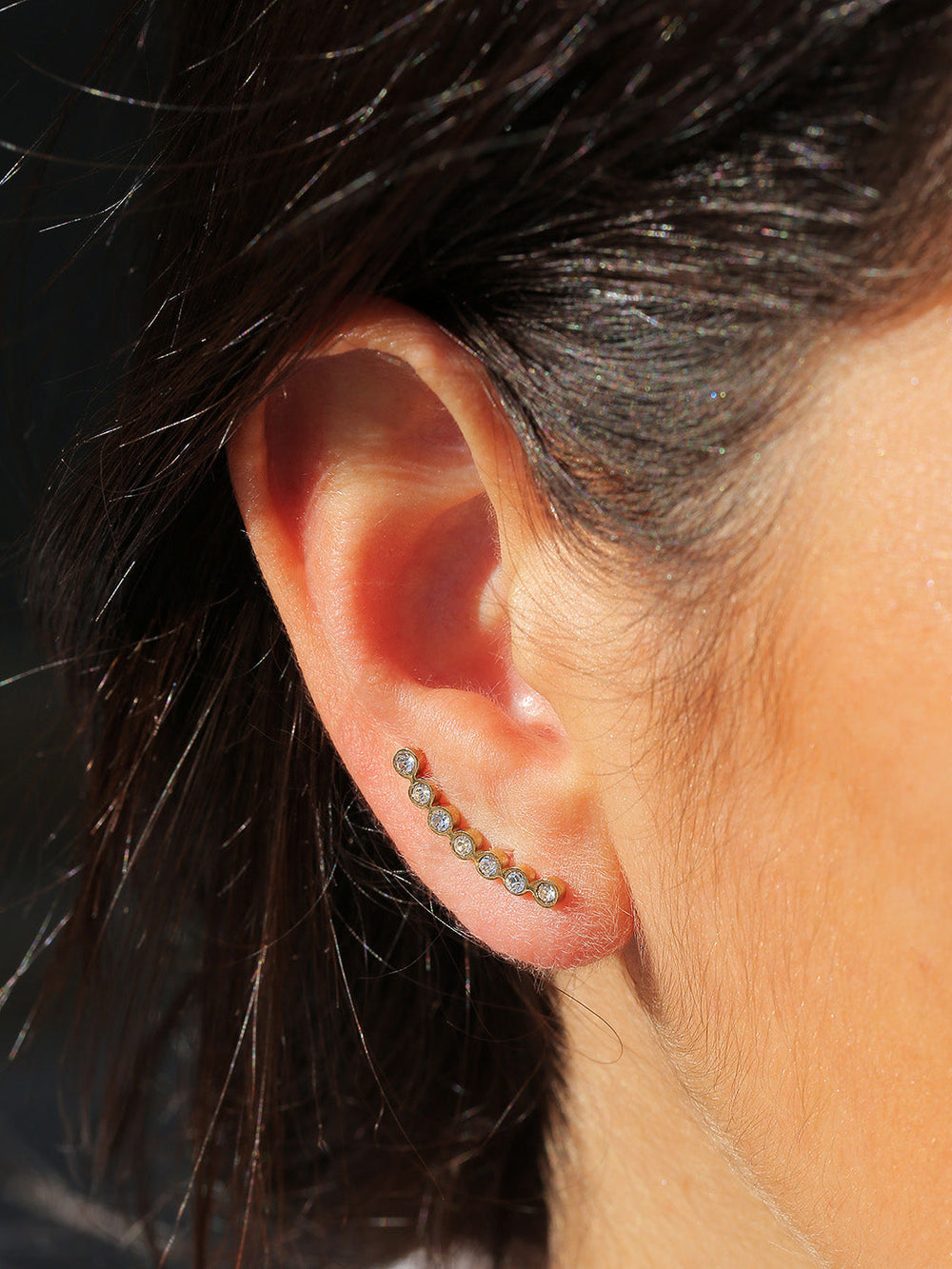 Pitt Earrings