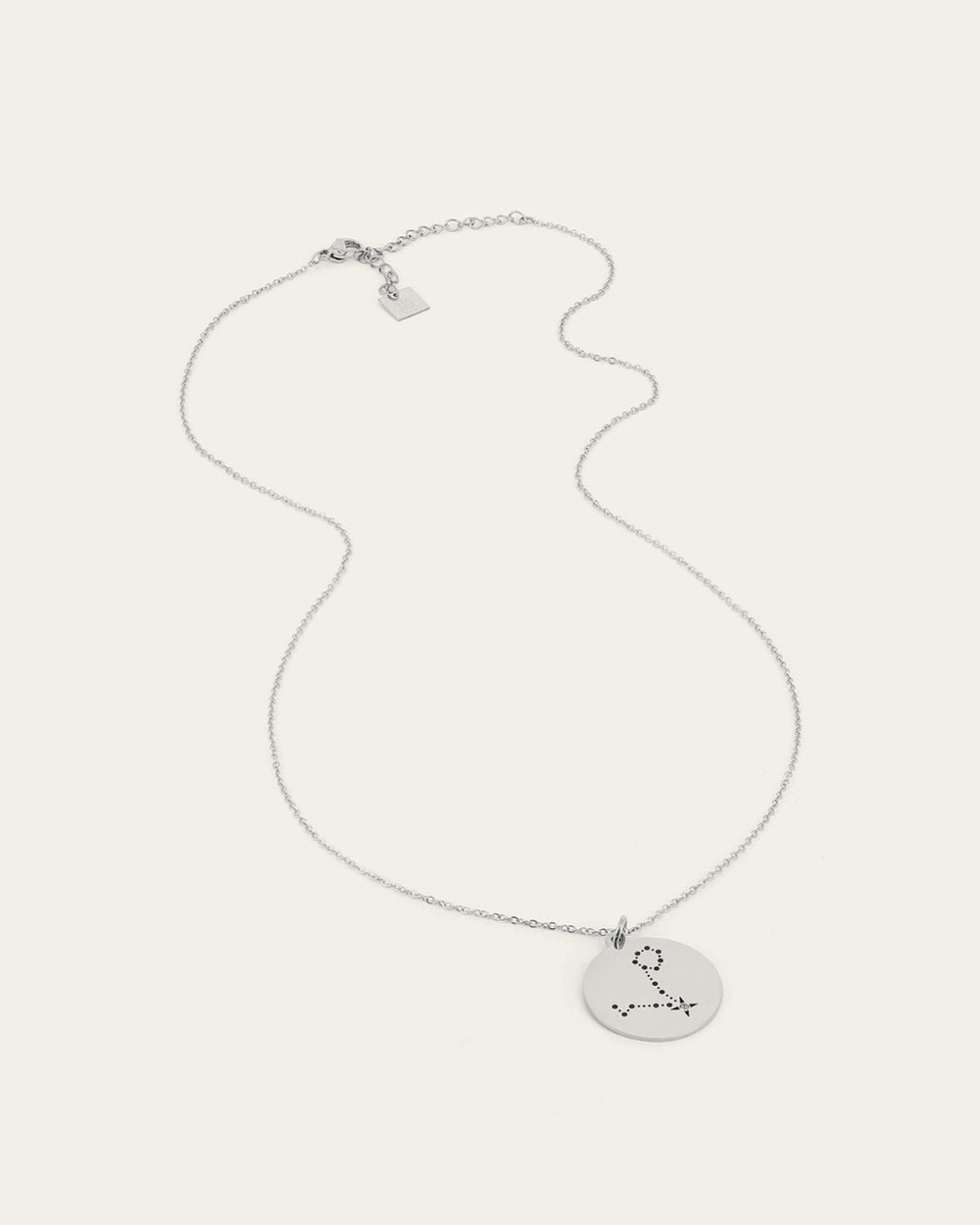 Pisces Necklace (Steel)