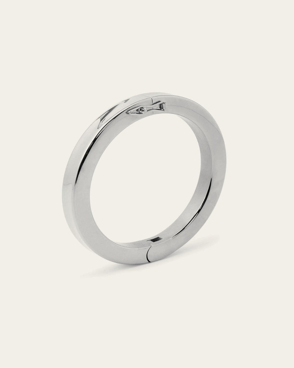Darwin Bangle Bracelet (Steel)