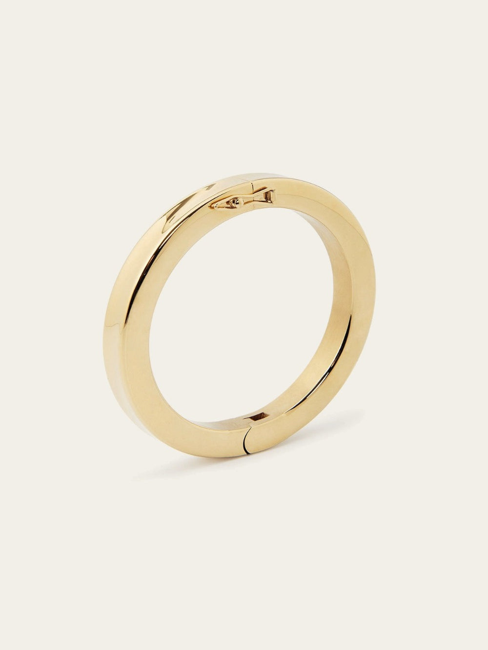Darwin Bangle Bracelet 