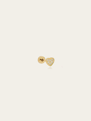 Piercing Vagur 