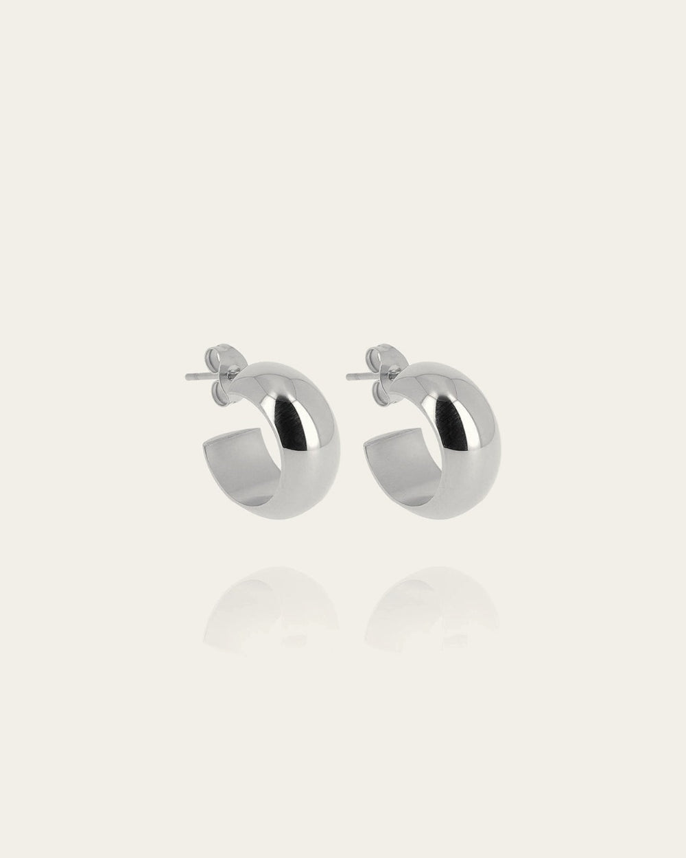 Velorum Earrings (Steel)