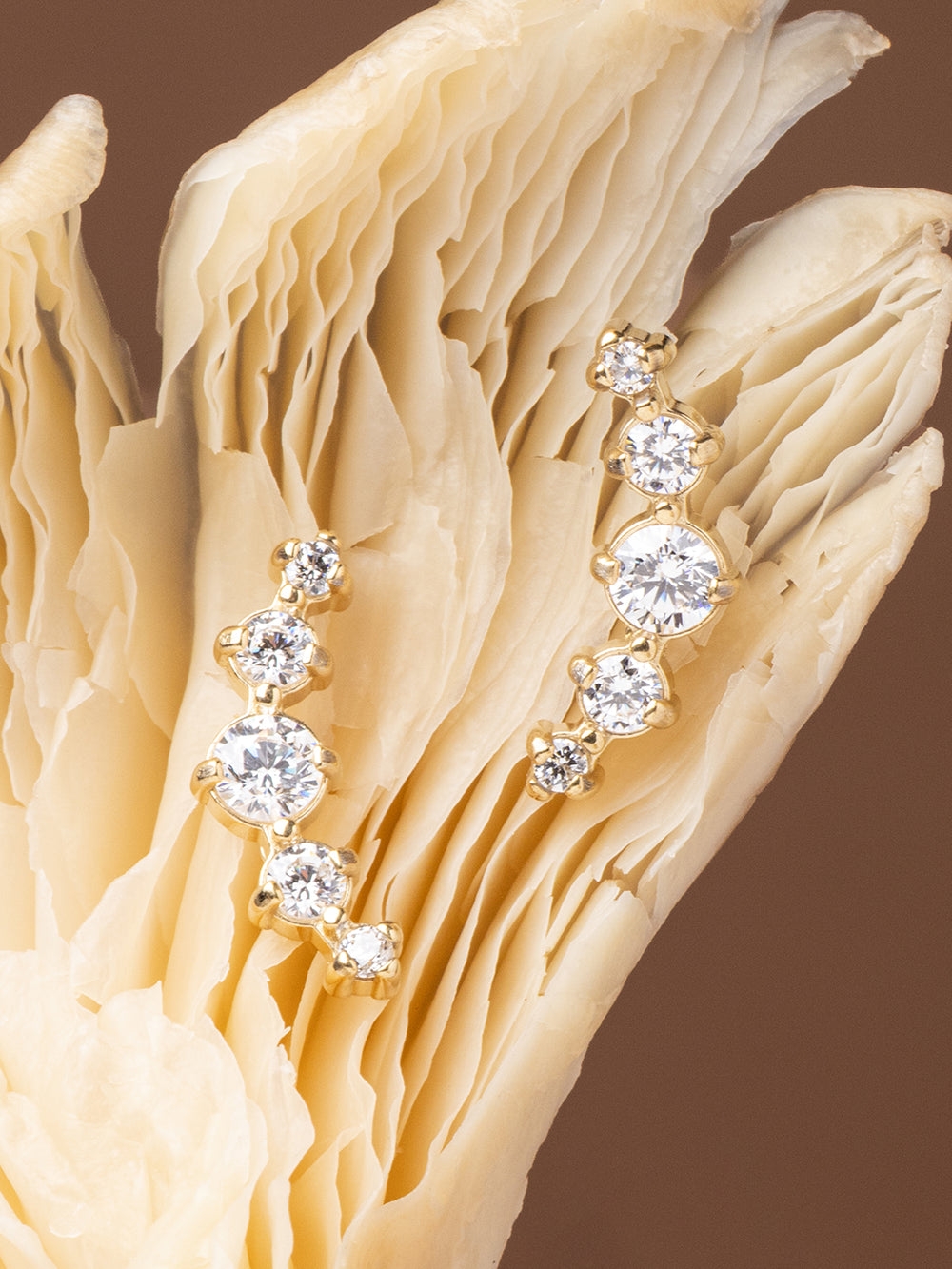 Boucles d'oreilles Éclisse 