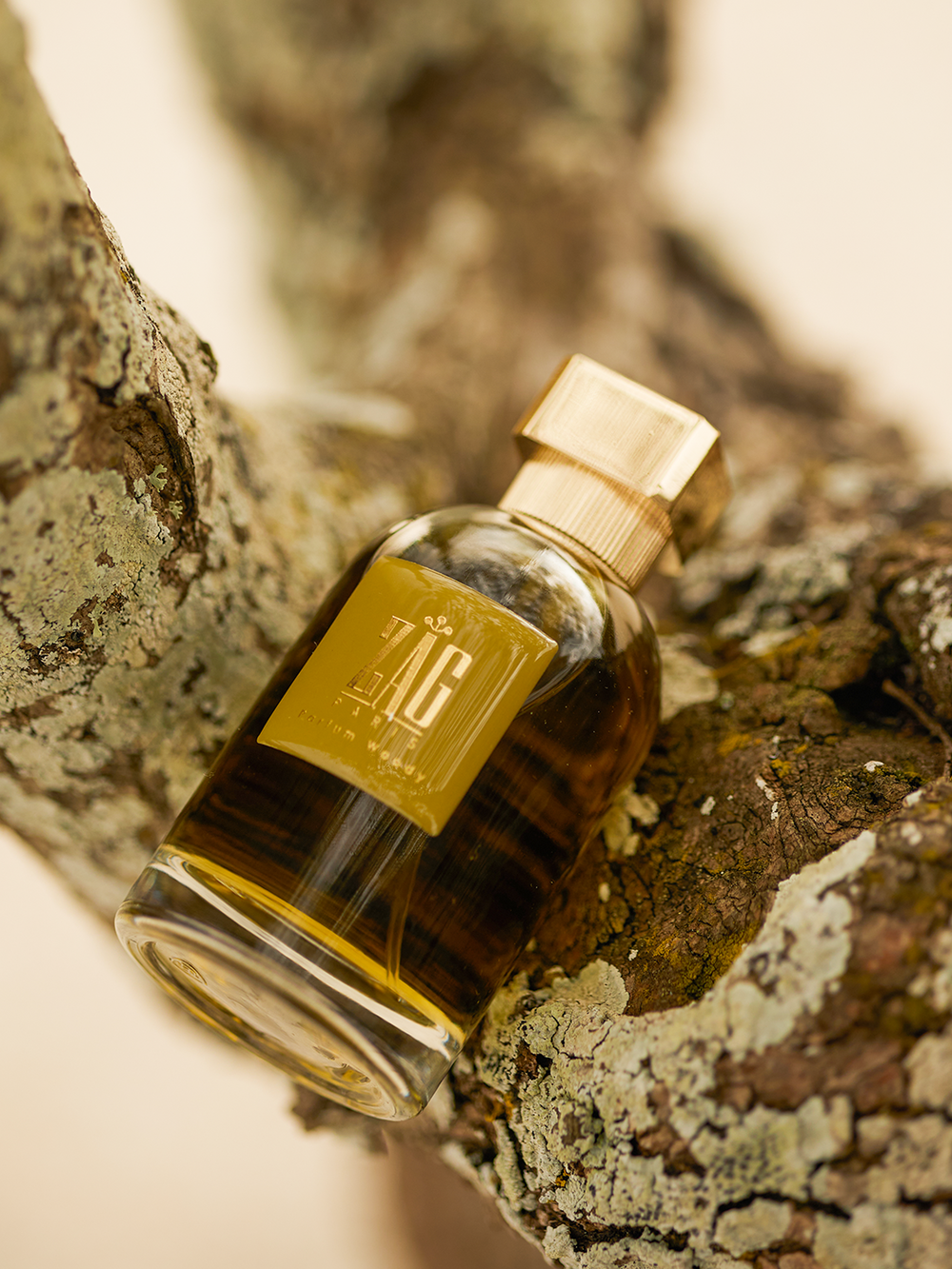 Parfum Woody