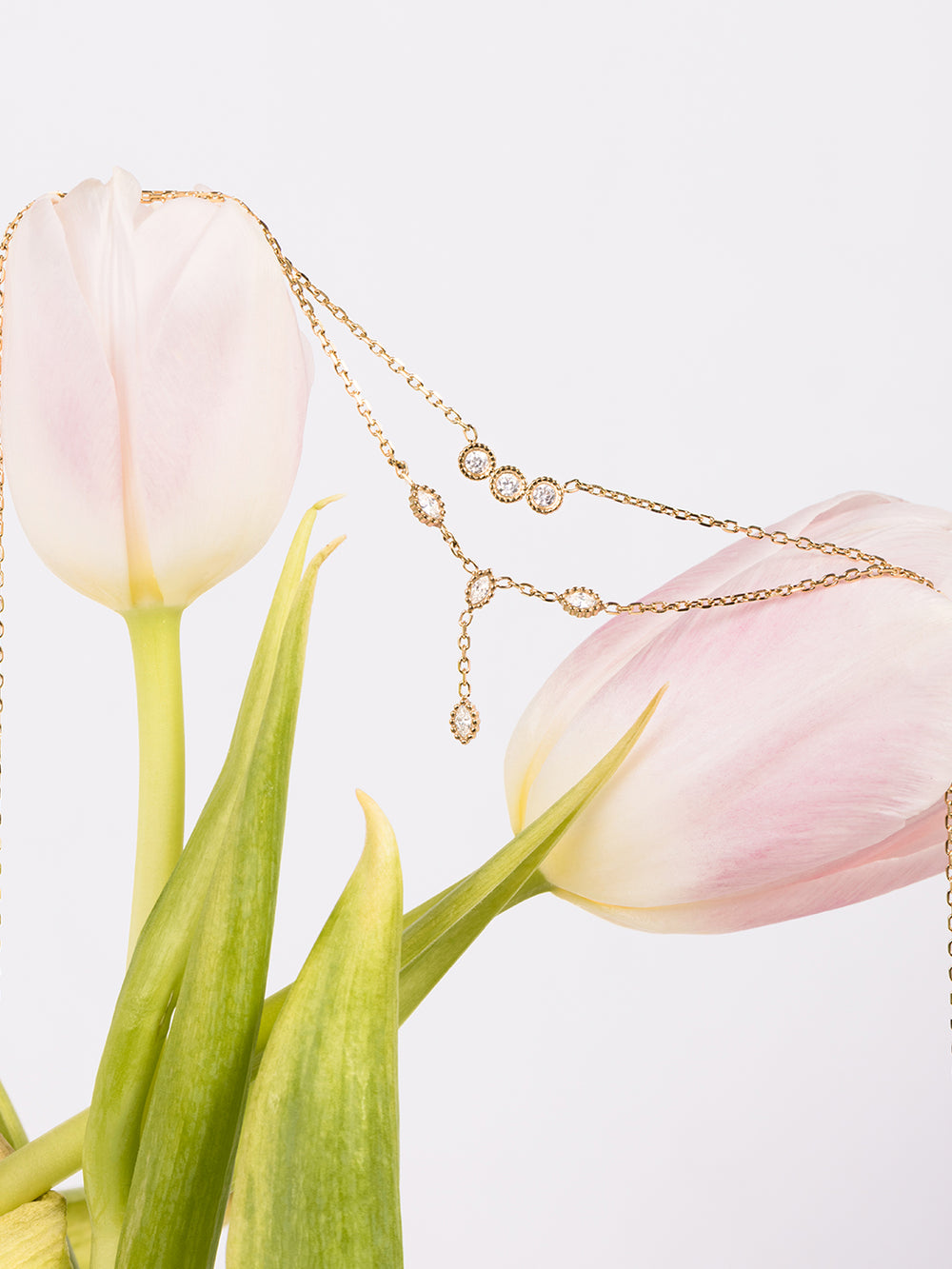 Collier Erchie 