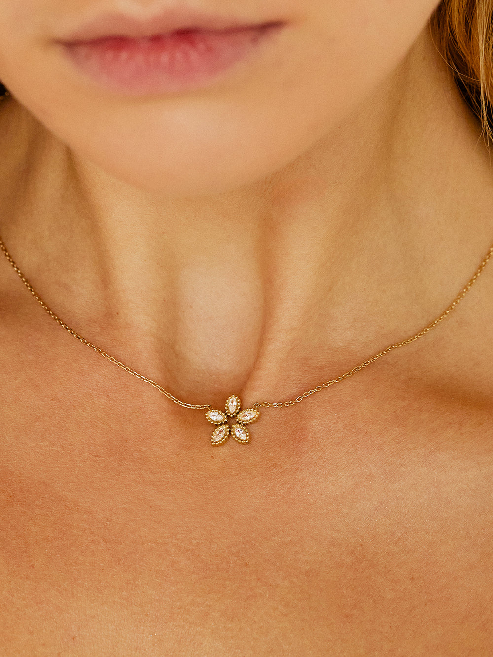 Collier Demo 