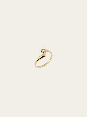 Bague Arieli 