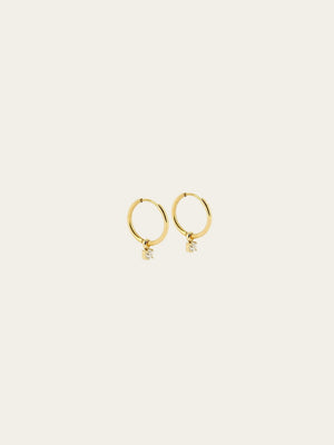 Shinny Earrings 